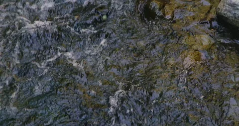 River 3 Stock Footage 126186183