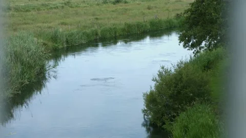 River 3 Video stock 133449776