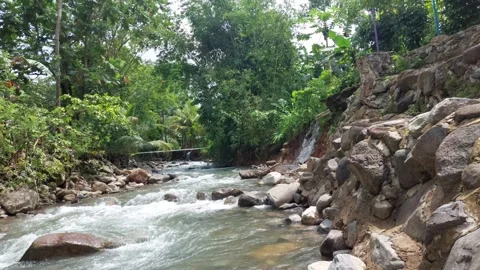 River (3) Stock-Footage 229078998