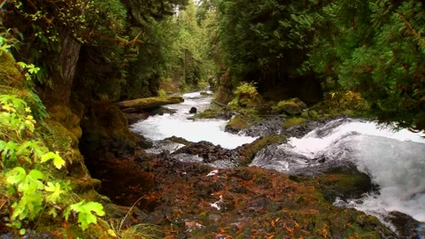 River 3 Video stock 249838142