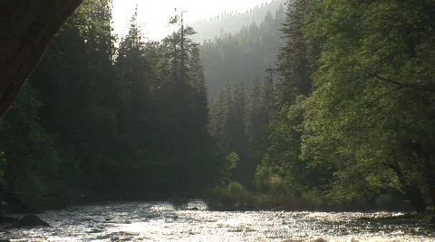 River 4 Stock Footage 476218