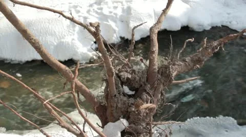 River 4 Video stock 10809888