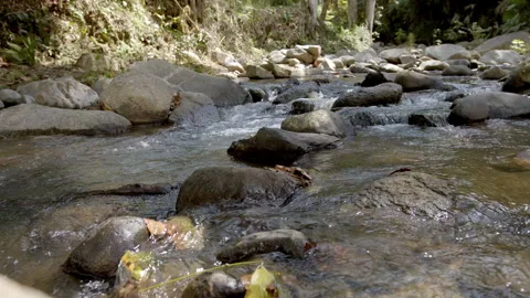 River 4 Stock Footage 262866427