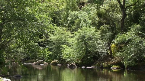 The River 64 - HD Stock Footage 134226