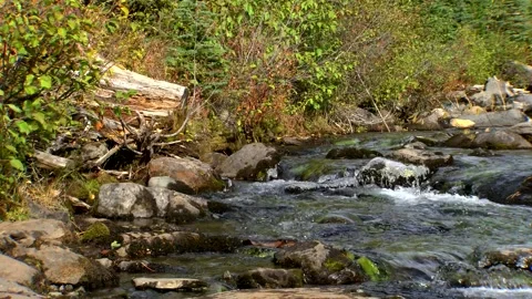 River 7 Stock Footage 249837553