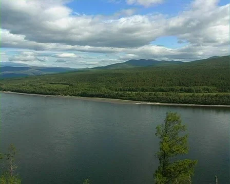 River 7 P 스톡 동영상 514270