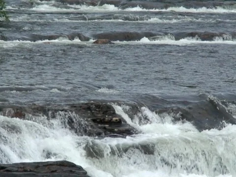 River 8 Stock Footage 490232