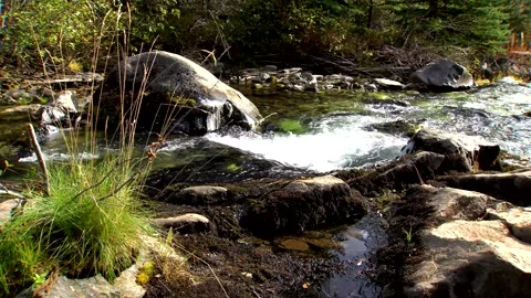 River 8 Video stock 249837558