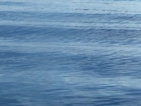 River 9 Stock Footage 490233