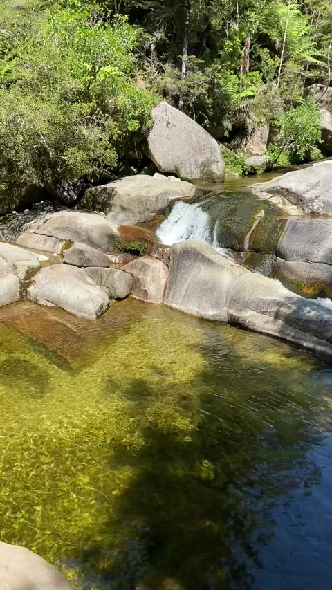 River in Abel Tasman 库存影片 343952562
