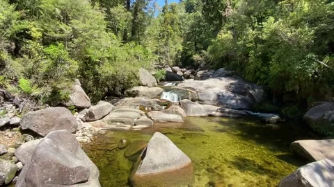 River in Abel Tasman Stock-Footage 343952564