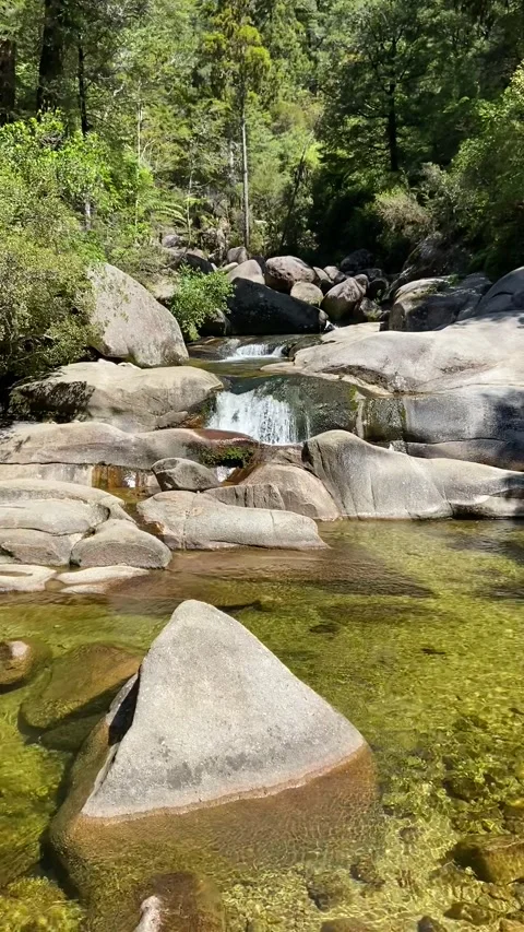 River in Abel Tasman Stock Footage 343952565