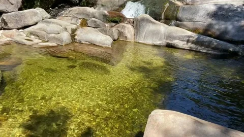 River in Abel Tasman Vídeos de archivo 343952599