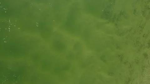 River from above Video stock 169886446