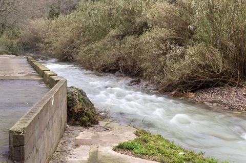 River with abundant flow Stock Photos
