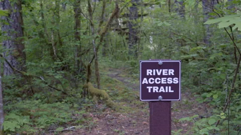 River Access Trail Sign in Forest – Hiking and Nature Scene Stock Footage 310082607