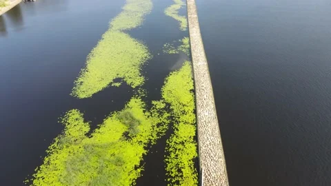 River aerial view Stock Footage 162653841