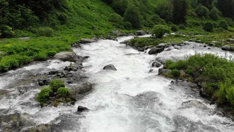 River, aerial view Stock Footage 219511492