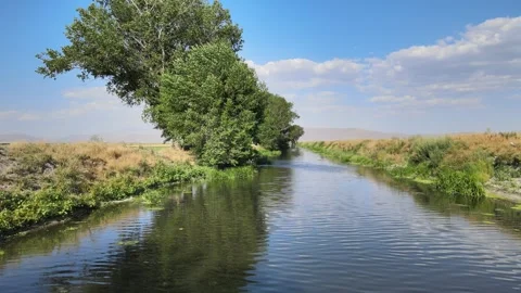 River aerial view Video stock 240750517