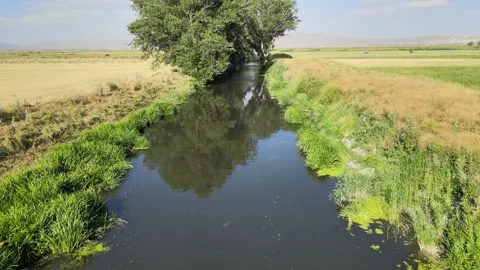 River aerial view Stock Footage 240753041