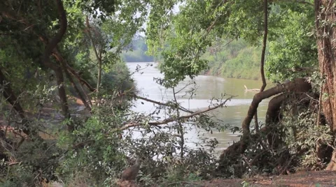 A river in Africa reflecting on trees Stock Footage 44888543