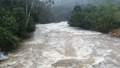 River after rain in jungle 库存影片 71520381