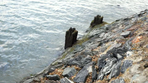 River afternoon Video stock 225109961