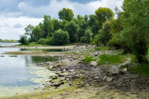 River against the backdrop of the forest Stock Photos