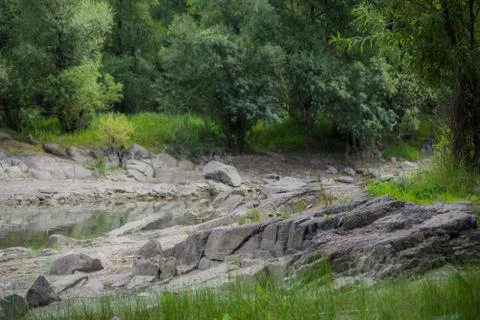 River against the backdrop of the forest Stock Photos