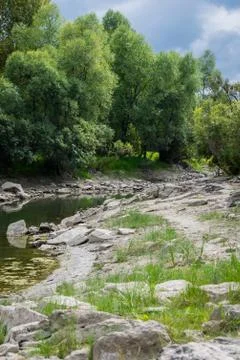 River against the backdrop of the forest Stock Photos
