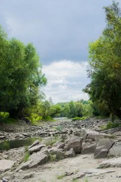 River against the backdrop of the forest Stock Photos