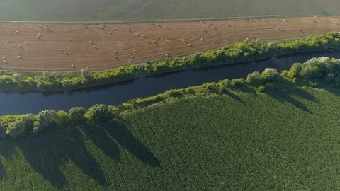River from the air Stock Footage 97578798