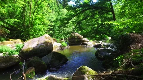 River aist in the austrian valley aisttal in may 库存影片 131838540