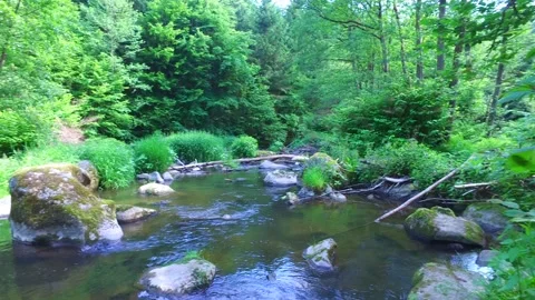 River aist in the austrian valley aisttal in may Stock Footage 131838612