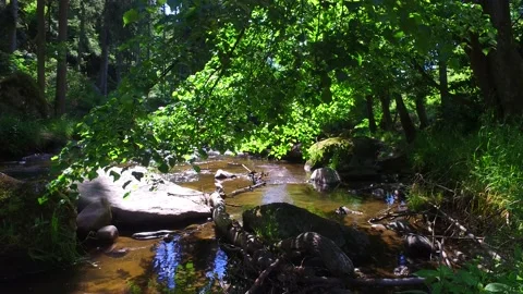 River aist in the austrian valley aisttal in may Stock Footage 131838919