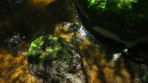 River aist in the austrian valley aisttal in may Видео 131839258