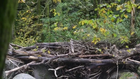 River aist in the valley aisttal Stock Footage 294190818