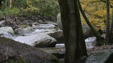 River aist in the valley aisttal Stock Footage 294190819