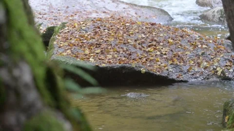 River aist in the valley aisttal Stock Footage 294190849