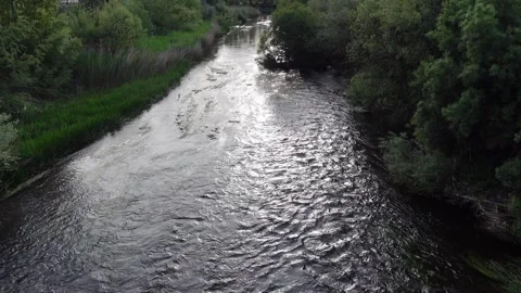 River with algae among lush nature Stock Footage 285949936