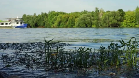 River with algae, waves and a tourist speedboat. Stock Footage 205465622