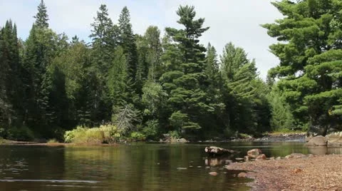 River In Algonquin Stock Footage 20530443