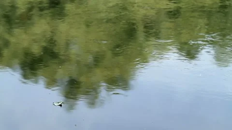 River in all its glory Video stock 8634285