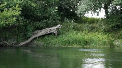 River in all its glory Stock Footage 8841258