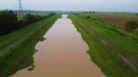 River along the paddy plantation in Malaysia. Stock Footage