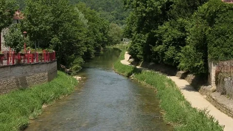 River along the trees Stock Footage 76905344