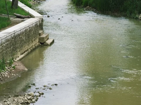 River along the trees Stock Footage 76905509