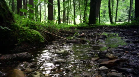 River in Alps Stock Footage 25983266
