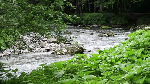 River in Alps Stock Footage 27597641