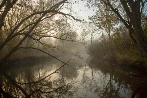 River in AM MIst. Stock Photos
